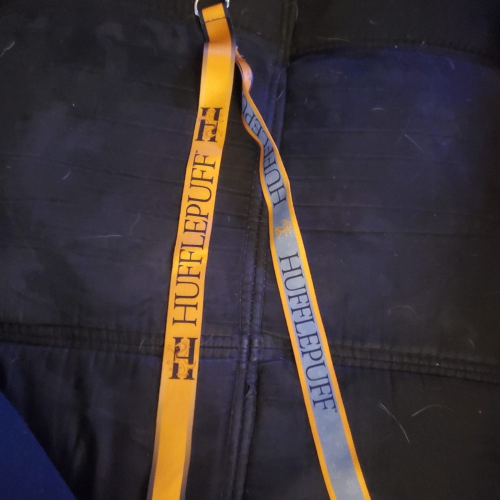 Lanyard